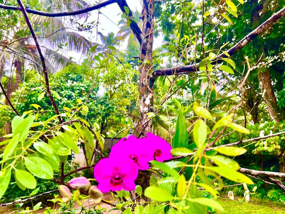 Mangrove Bay छुट्टी का घर *